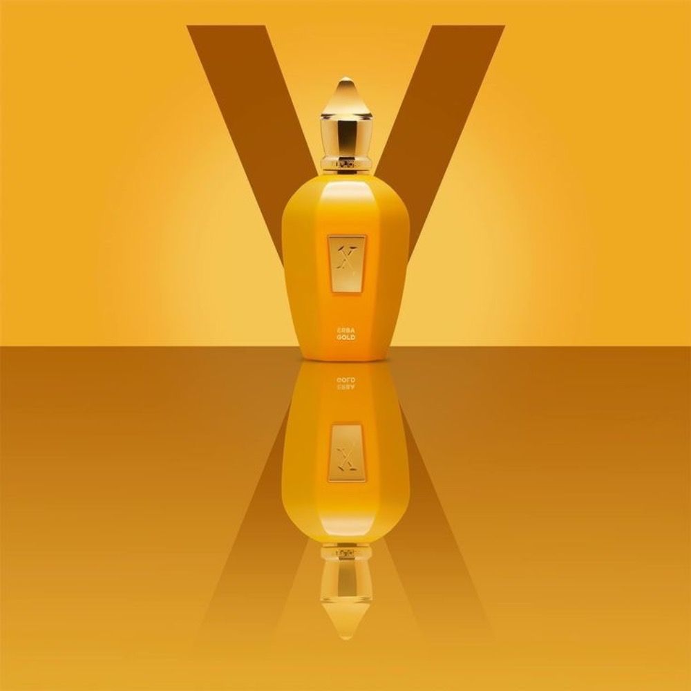 خرید انلاین تستر اروپایی درجه یک عطر ادکلن زرجف اربا گلد | XerJoff Erba Gold