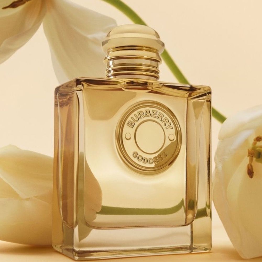 خرید آنلاین تستر اروپایی عطر ادکلن باربری گادس