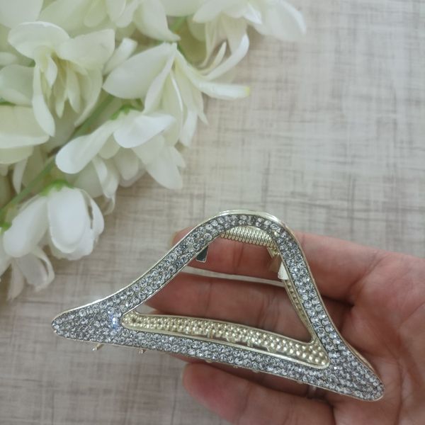 کلیپس مجلسی