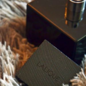 قیمت ارزان تستر اروپایی ادکلن لالیک مشکی-چوبی-انکر نویر مردانه | Lalique Encre Noire
