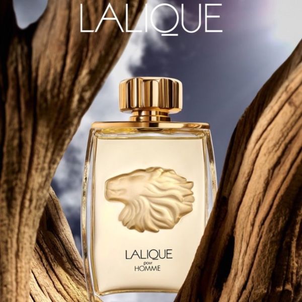 تستر عطر ادکلن لالیک پور هوم -لالیک شیر اورجینال | Lalique Pour Homme EDP