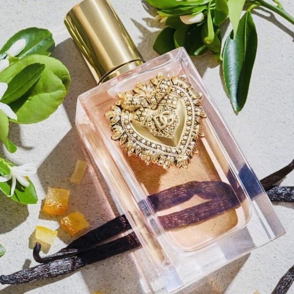 تستر اروپایی DOLCE & GABBANA - Devotion دولچه گابانا دیووشن | کددار
