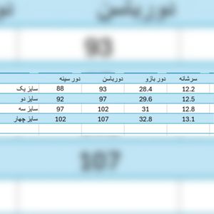 خرید آنلاین کراپ و دامن زنانه جواهر دوزی مدل سایه