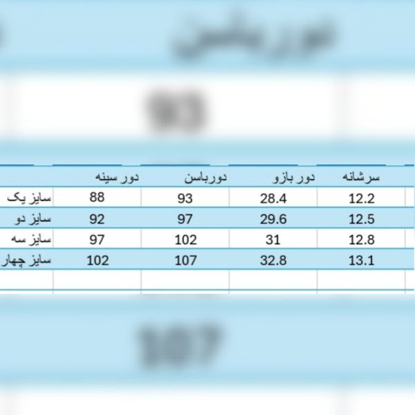 شومیز ساتن زنانه مدل آرشیدا