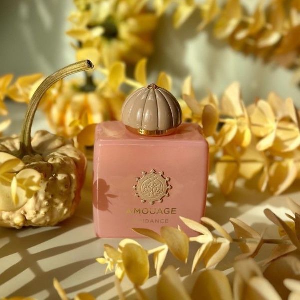 تستر اروپایی عطر ادکلن آمواج گایدنس | Amouage Guidance کددار
