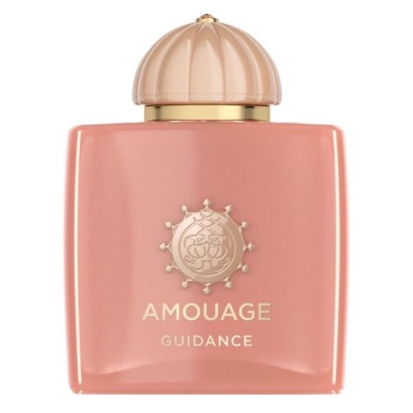 تستر اروپایی عطر ادکلن آمواج گایدنس | Amouage Guidance کددار