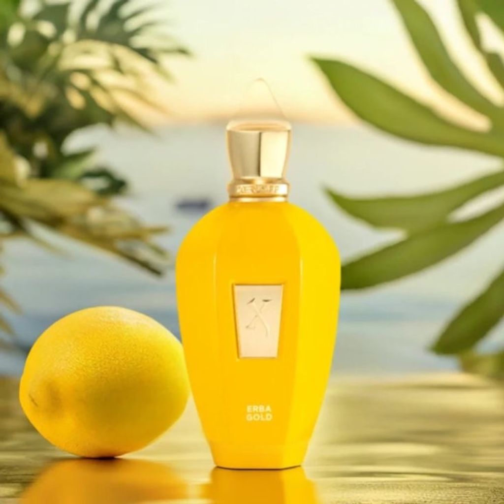خرید آنلاین تستر اروپایی عطر ادکلن زرجف اربا گلد | XerJoff Erba Gold