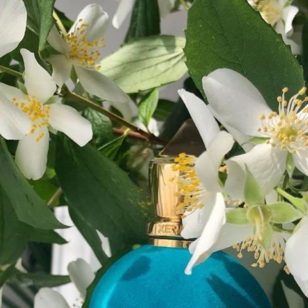 تستر اروپایی عطر ادکلن زرجوف اربا پورا | Xerjoff Erba Pura