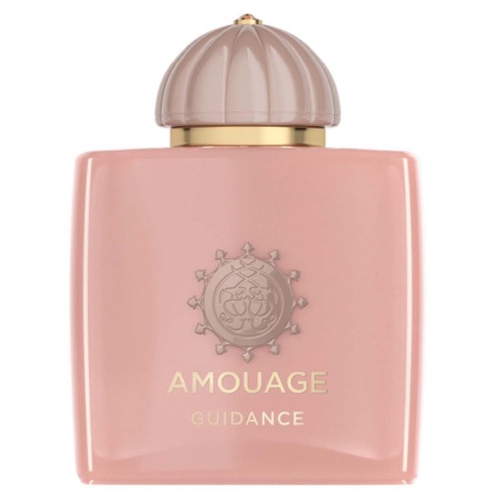 خرید اینترنتی تستر اروپایی عطر ادکلن آمواج گایدنس | Amouage Guidance
