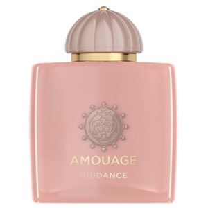 خرید اینترنتی تستر اروپایی عطر ادکلن آمواج گایدنس | Amouage Guidance