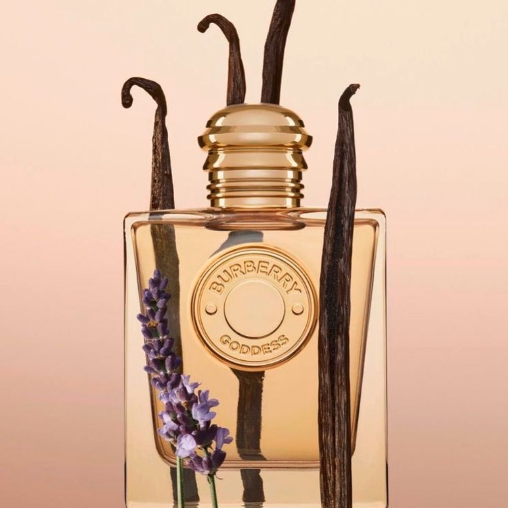 خرید انلاین تستر اروپایی عطر ادکلن باربری گادس | Burberry Goddess