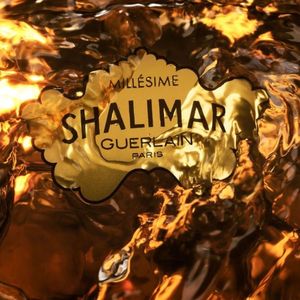 خرید آنلاین تستر اروپایی GUERLAIN - Shalimar EDP گرلن شالیمار ادو پرفیوم
