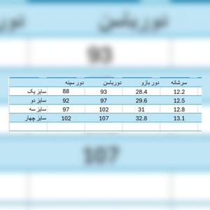 قیمت ارزان کراپ مجلسی و شلوار زنانه  مدل غزل