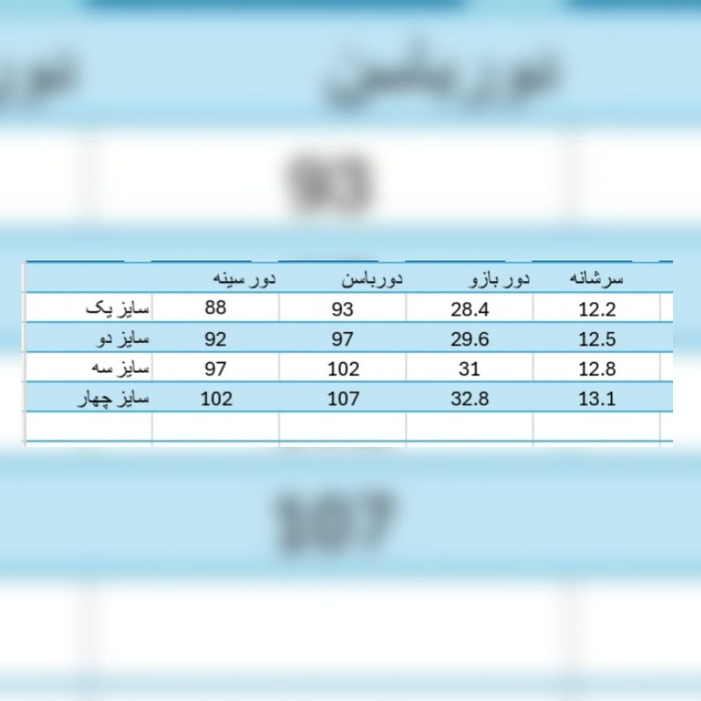 مشخصات شومیز مجلسی زنانه مدل  آلما