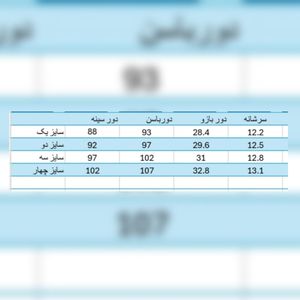 مشخصات شومیز مجلسی زنانه مدل  آلما