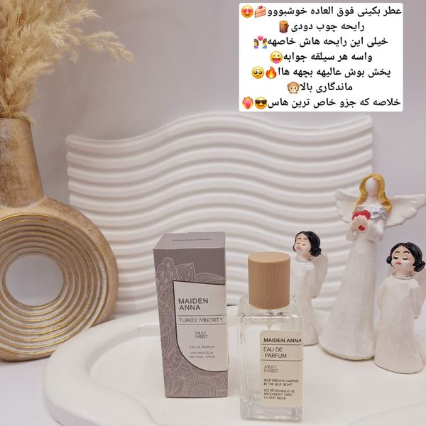 عطر بیکینی رایحه چوب دودی (MILKY RABBIT) حجم 50 میل فوق العاده خوشبو با ما