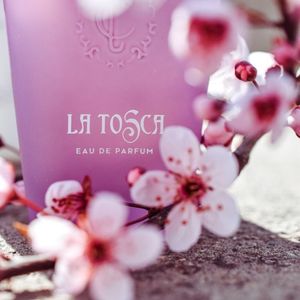 فروش اینترنتی تستر اروپایی عطر ادکلن کازاموراتی زرجف-زرژاف لاتوسکا | Xerjoff Casamorati