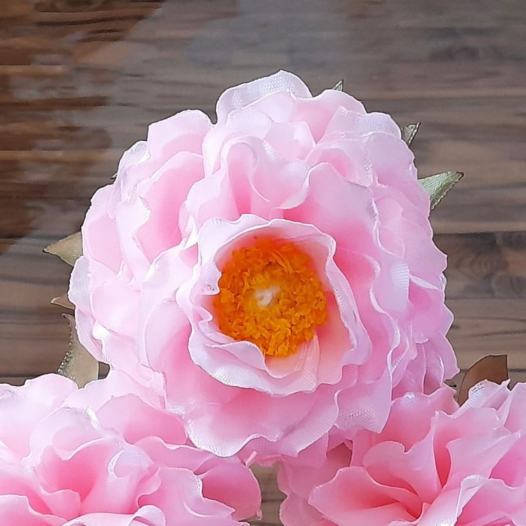 قیمت ارزان گل پیونی صورتی 6 عددی