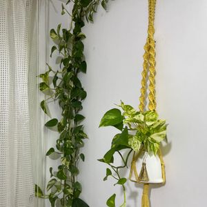 خرید آنلاین اویز گلدان کاربردی مکرومه مدل جنگل