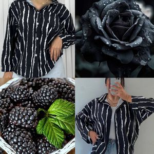 قیمت ارزان شومیز زنانه محرمی