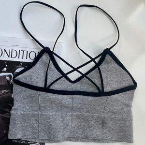 مشخصات نیم تنه رنگی ژامک