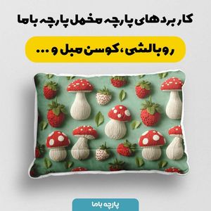 قیمت ارزان پارچه مخمل روبالشی پارچه باما طرح سه بعدی فانتزی کد 5013822