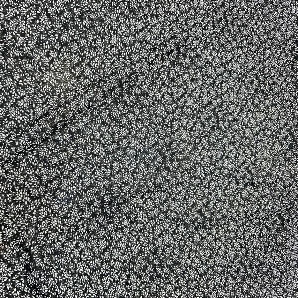 پارچه حریر شیفون جو 6