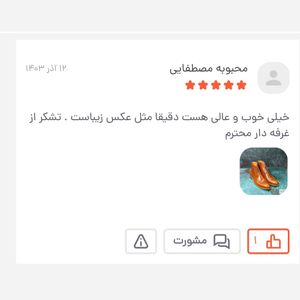 خرید اینترنتی نیم بوت مردانه رسمی چرم طبیعی رنگی خاص مدل پارامونت عسلی 
