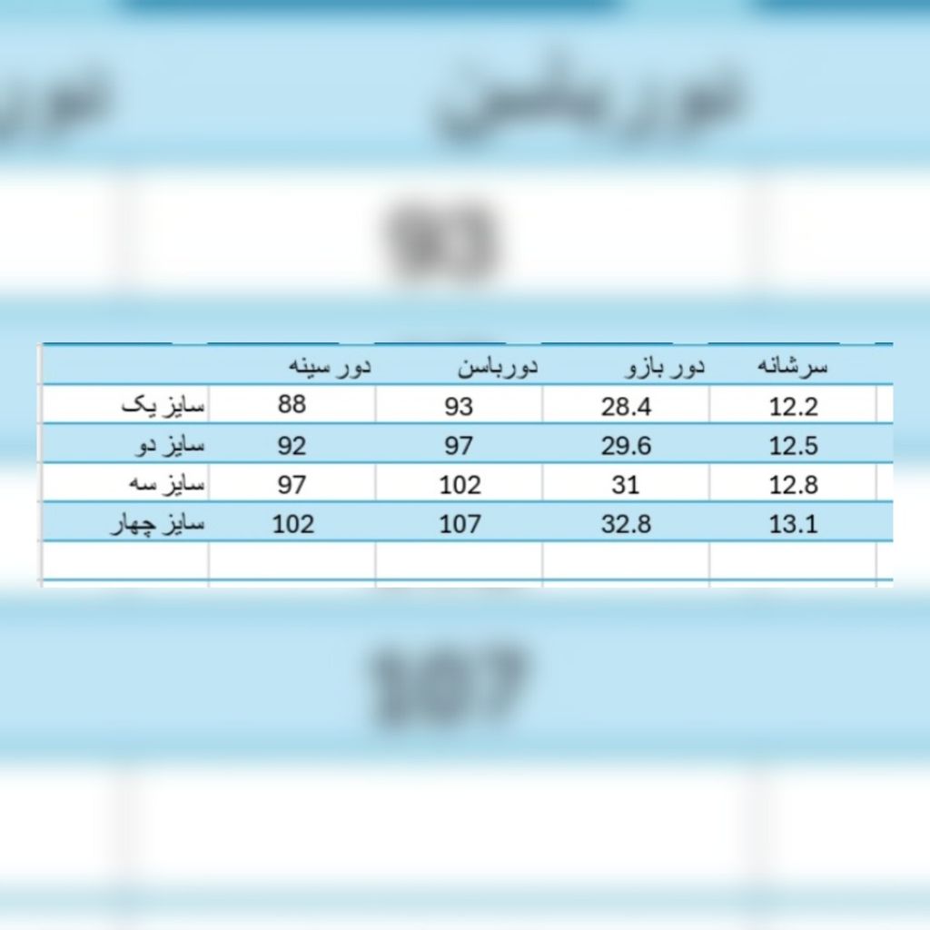 خرید اینترنتی شومیز مجلسی زنانه مدل شقایق