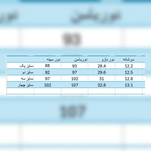 شومیز مجلسی زنانه مدل شقایق