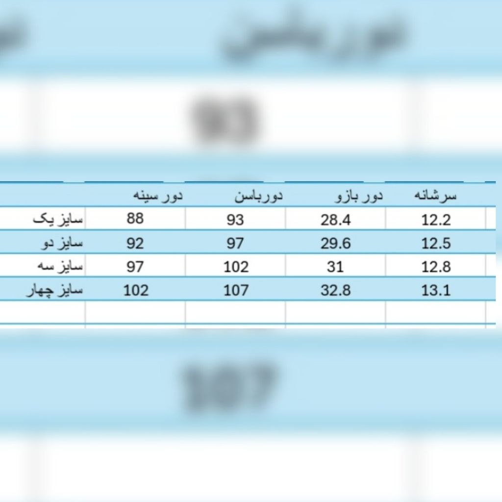 خرید آنلاین شومیز زنانه مجلسی مدل آرنیکا
