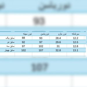 خرید آنلاین شومیز زنانه مجلسی مدل آرنیکا