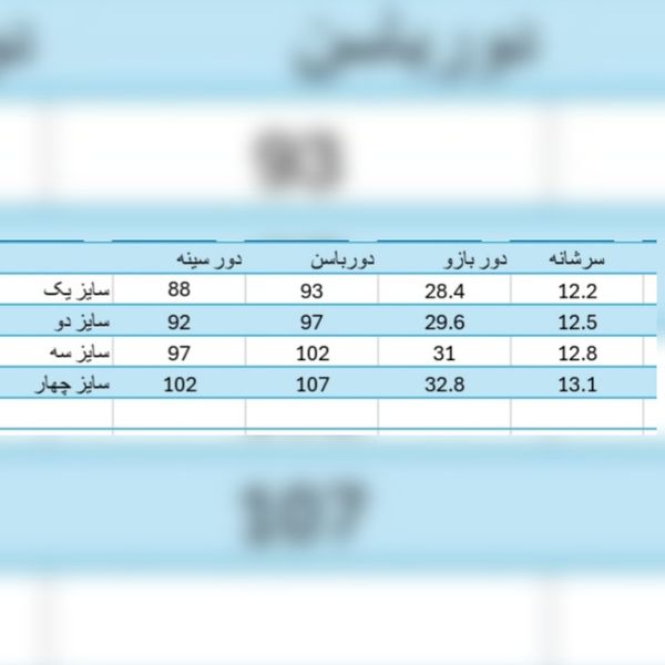 شومیز زنانه مجلسی مدل آرنیکا