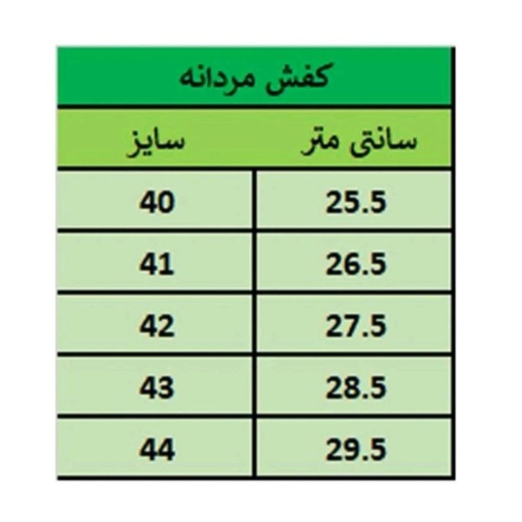 مشخصات کفش مجلسی مردانه مدل کشی سورن رنگ مشکی