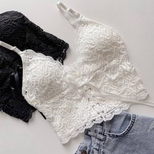 مشخصات کراپ دانتل کد0033