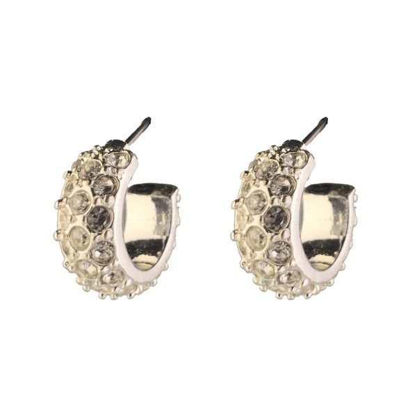 گوشواره حلقه ای نگین دار - Gosh - 021