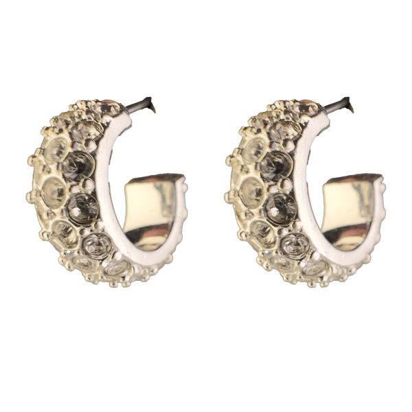 گوشواره حلقه ای نگین دار - Gosh - 021