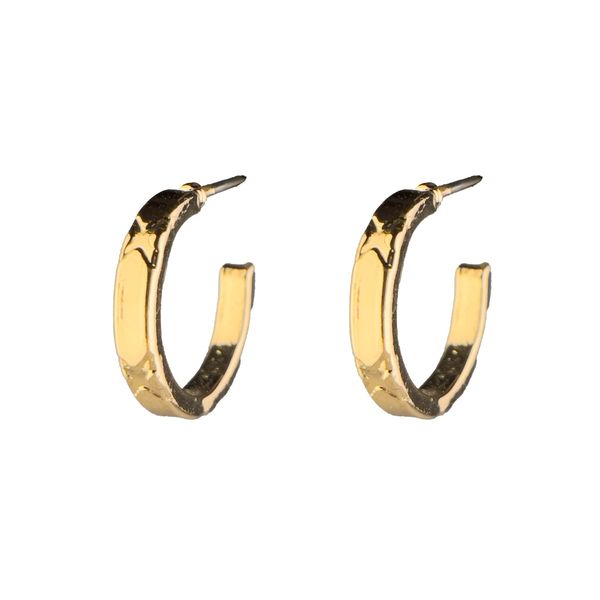 گوشواره حلقه ای - Gosh - 022