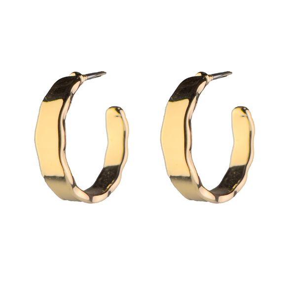 گوشواره حلقه ای - Gosh - 023