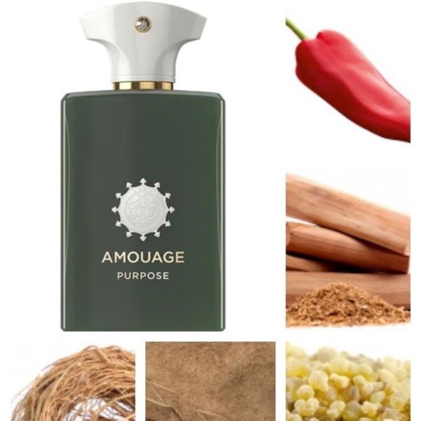 تستر عالی اروپایی عطر ادکلن آمواج پرپوس(پرپس) | Amouage Purpose