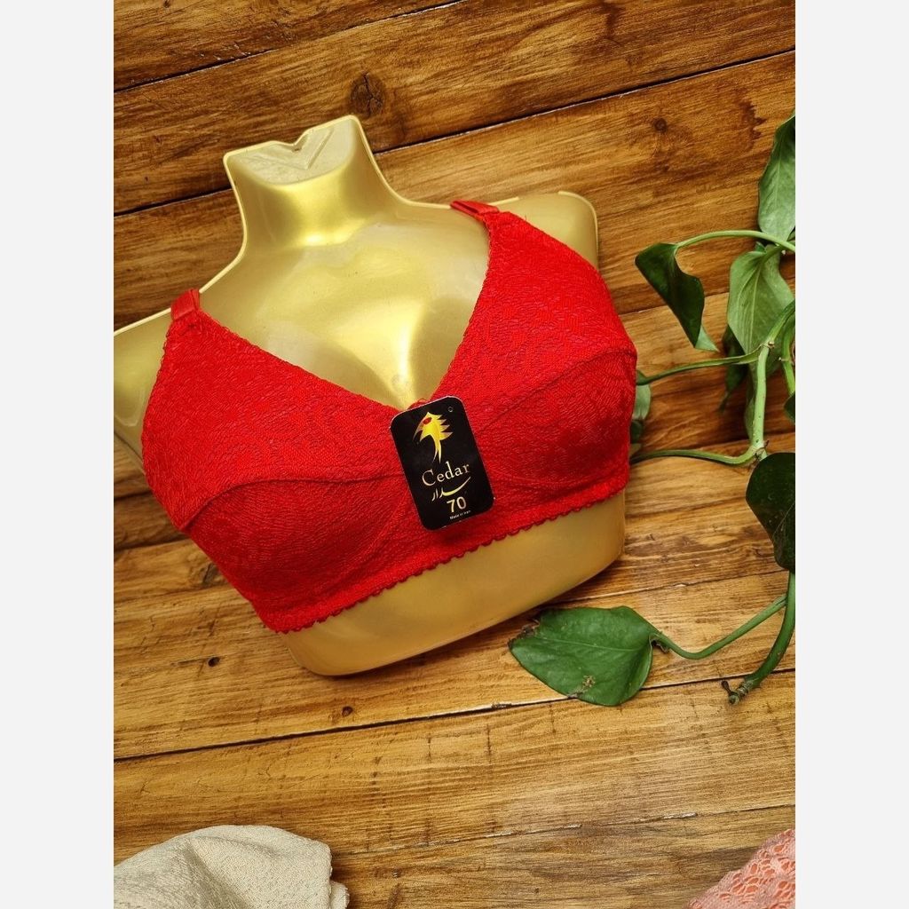 فروش اینترنتی سوتین دانتل فانتزی زیر نخ کش باریک