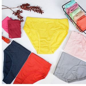 خرید اینترنتی شورت زنانه نخ پنبه طرح سوزنی سایز xl 2xl 3xl(پک 6 عدد رنگبندی رندوم)8