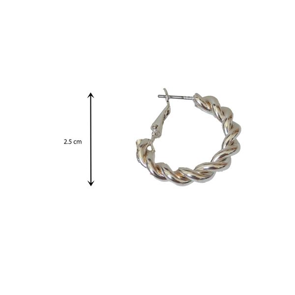 گوشواره حلقه ای مارپیچ - Gosh - 044