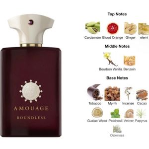خرید اینترنتی عطر ادکلن آمواج باندلس مردانه | Amouage Boundless For Men