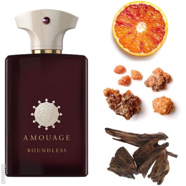 عطر ادکلن آمواج باندلس مردانه | Amouage Boundless For Men