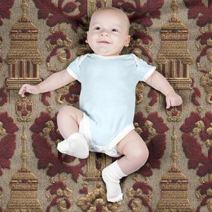 فروش اینترنتی پارچه مخمل روبالشی پارچه باما طرح سه بعدی هنری کد 5014265