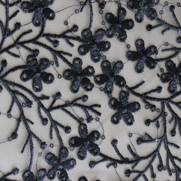 دانتل پر کار