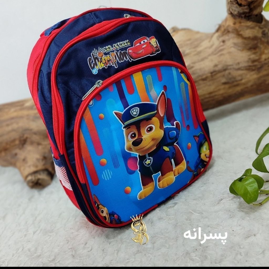 قیمت کیف مدرسه کوله دبستان دخترانه پسرانه دارای پد ماساژوری
