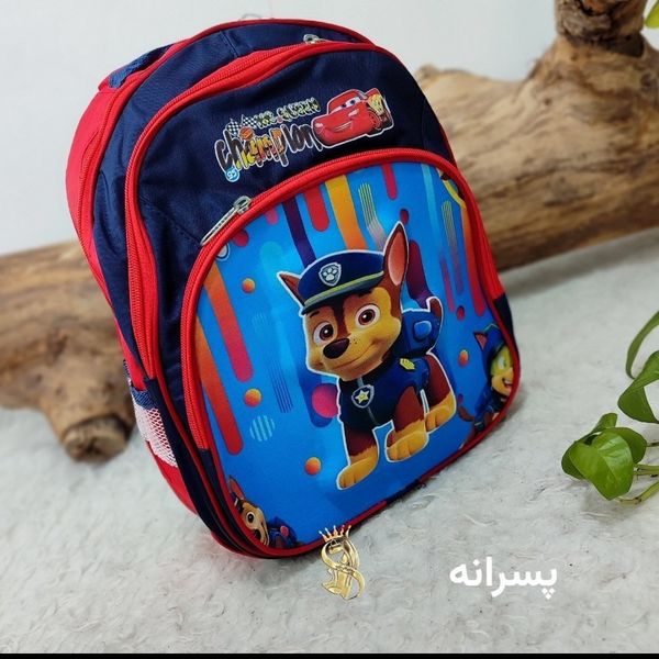 کیف مدرسه کوله دبستان دخترانه پسرانه دارای پد ماساژوری