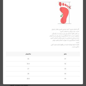 قیمت ارزان کتونی رانینگ میزانو آسترو پلاس MIZUNO Wave rider کد 4051801